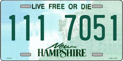 NH license plate 1117051