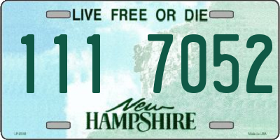 NH license plate 1117052
