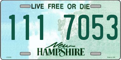 NH license plate 1117053