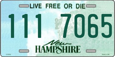 NH license plate 1117065