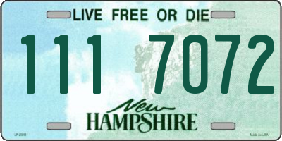 NH license plate 1117072