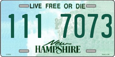NH license plate 1117073