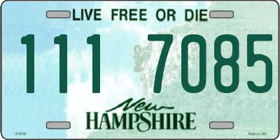 NH license plate 1117085