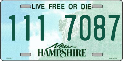 NH license plate 1117087