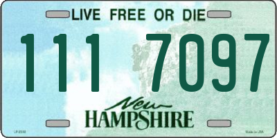 NH license plate 1117097