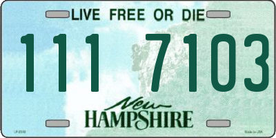 NH license plate 1117103