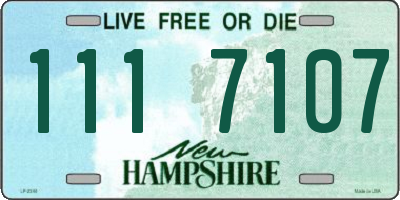 NH license plate 1117107