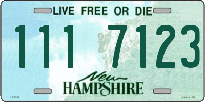 NH license plate 1117123