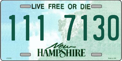 NH license plate 1117130