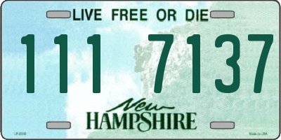 NH license plate 1117137