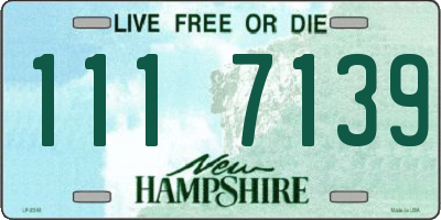 NH license plate 1117139