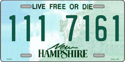 NH license plate 1117161