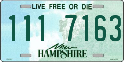 NH license plate 1117163