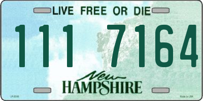 NH license plate 1117164