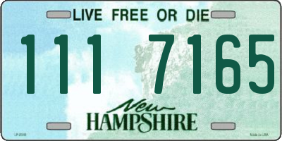 NH license plate 1117165