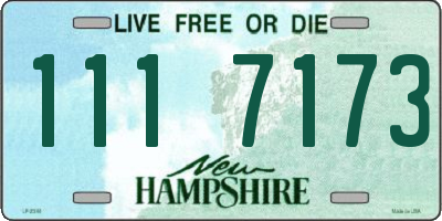 NH license plate 1117173
