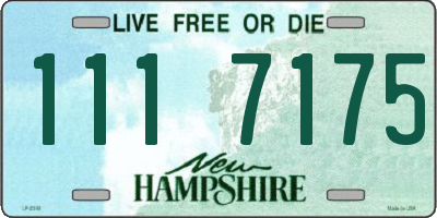 NH license plate 1117175