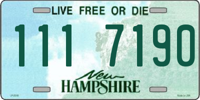 NH license plate 1117190