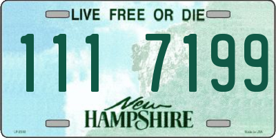 NH license plate 1117199