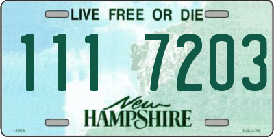 NH license plate 1117203