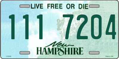 NH license plate 1117204