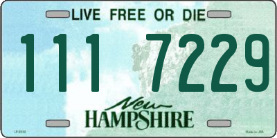 NH license plate 1117229