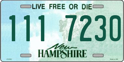 NH license plate 1117230