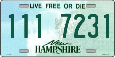 NH license plate 1117231