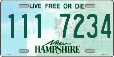 NH license plate 1117234