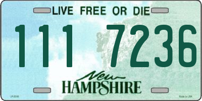 NH license plate 1117236