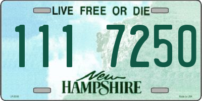 NH license plate 1117250