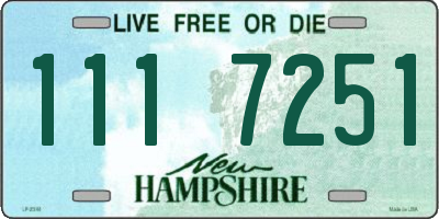 NH license plate 1117251