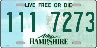 NH license plate 1117273