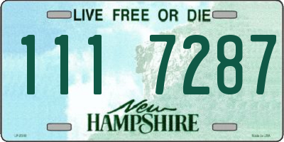 NH license plate 1117287