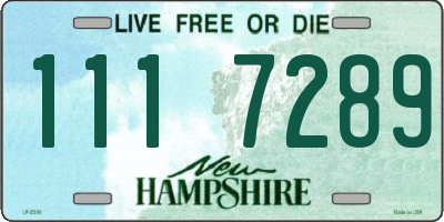 NH license plate 1117289