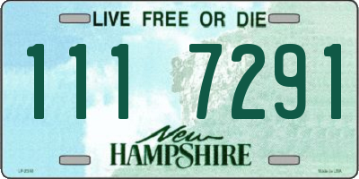 NH license plate 1117291