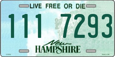 NH license plate 1117293