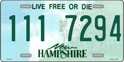 NH license plate 1117294