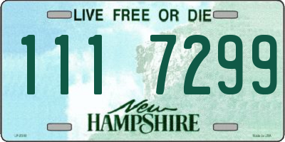 NH license plate 1117299
