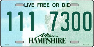 NH license plate 1117300