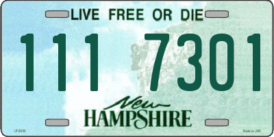 NH license plate 1117301