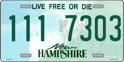 NH license plate 1117303