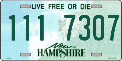 NH license plate 1117307