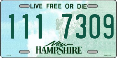 NH license plate 1117309