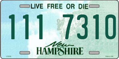 NH license plate 1117310