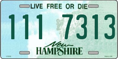 NH license plate 1117313