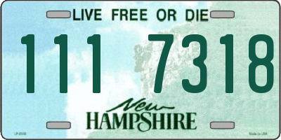 NH license plate 1117318