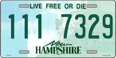 NH license plate 1117329