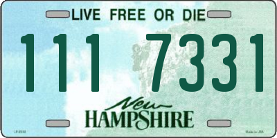 NH license plate 1117331