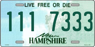 NH license plate 1117333